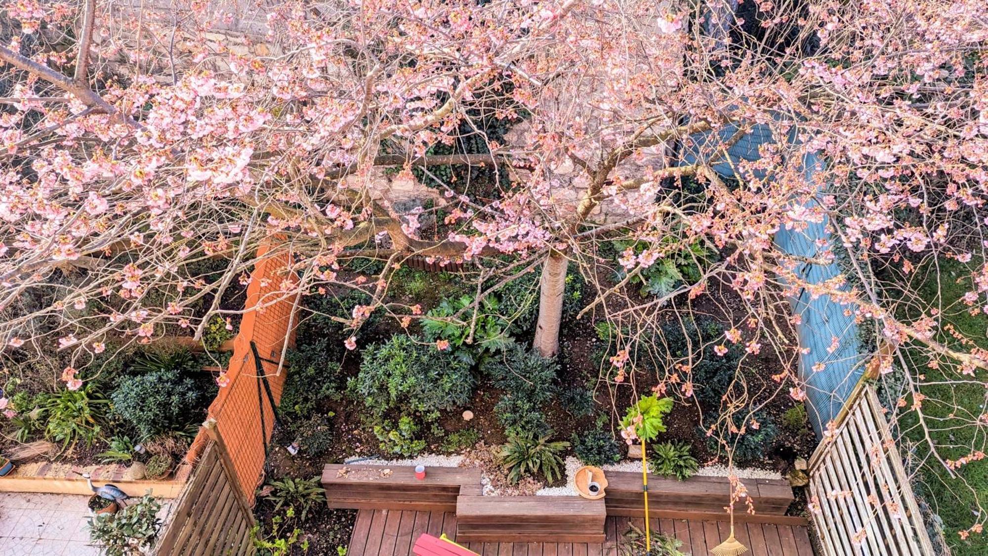 Maison Avec Jardin Au Sud De Paris Apartment Gentilly Luaran gambar